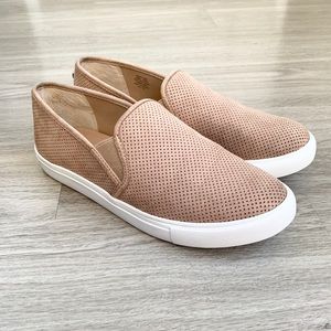Steve Madden Zarayy Slip On Sneaker